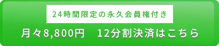 12分割決済はこちら